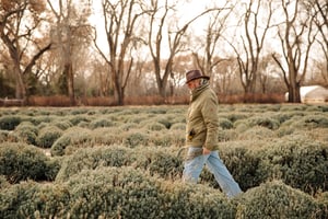 Albuquerque_252.jpg