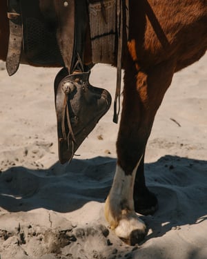BajaCalifornia_277.jpg