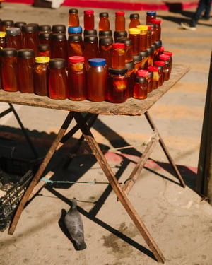 BajaCalifornia_309.jpg