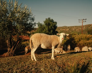 BajaCalifornia_508.jpg