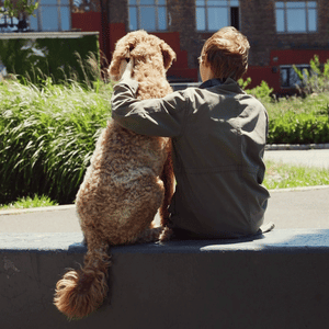 Millie_Dog_v5.gif