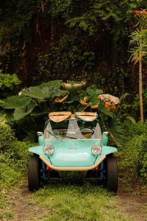 190330_PRS_Maui_1195.jpg