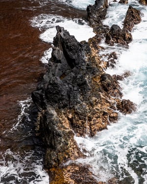 190330_PRS_Maui_1256.jpg