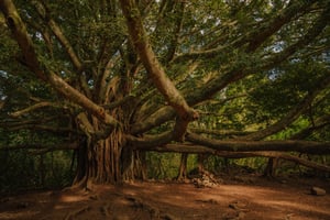 190330_PRS_Maui_1409.jpg