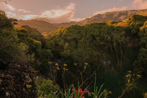190330_PRS_Maui_1450.jpg