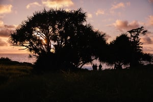190331_PRS_Maui_1514.jpg