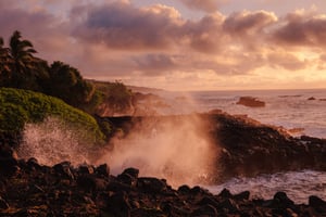 190331_PRS_Maui_1522.jpg