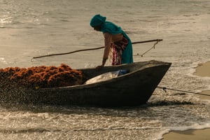 03_190506_RR_SEAWEED_0963.jpg