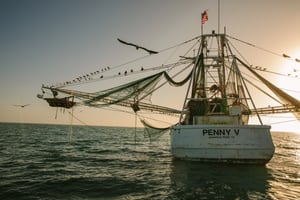 181229_PRS_Florida_1867.jpg